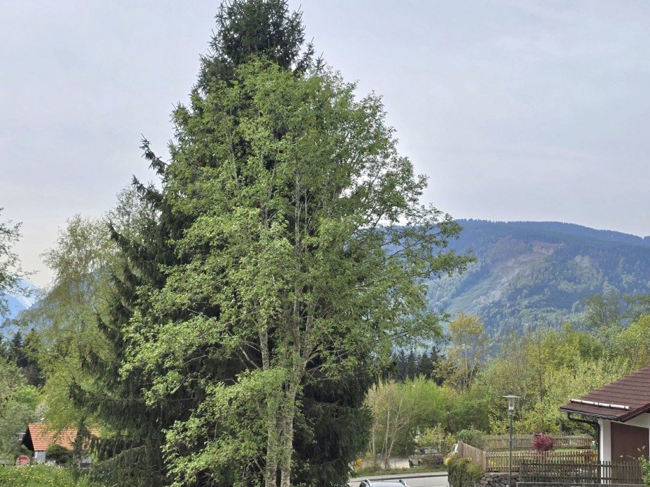 20260428 111451 Einfamilienhaus Murnau am Staffelsee