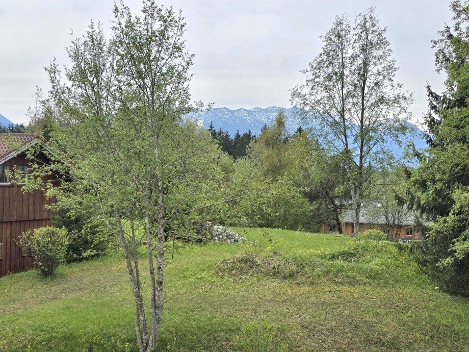 Blick ins Gr�ne Einfamilienhaus Murnau am Staffelsee